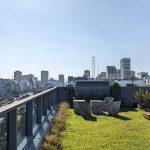 WhatsApp Image 2022-06-01 at 11.11.54 AM (1)