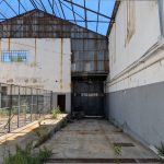 WhatsApp Image 2026-01-21 at 14.23.35